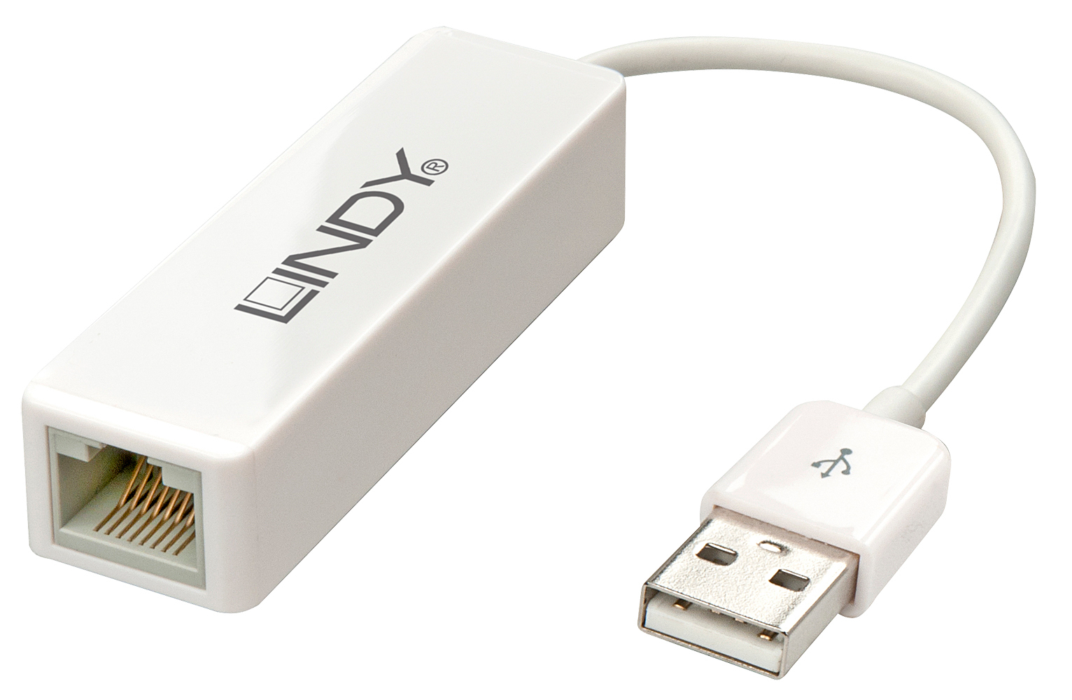 Lindy 42922 network card Ethernet 100 Mbit/s