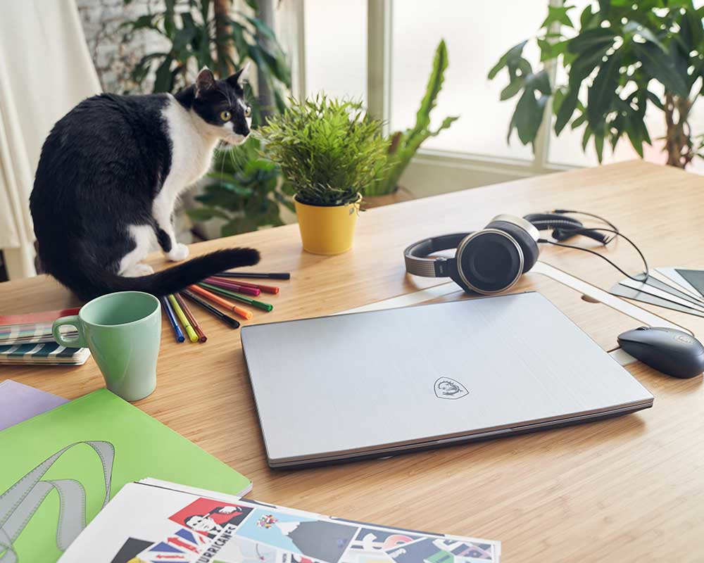 MSI Creator A9SD-036 Intel® Core™ i7 i7-9750H Laptop – image 6