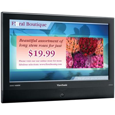 Viewsonic A Series DSM3210 computer monitor