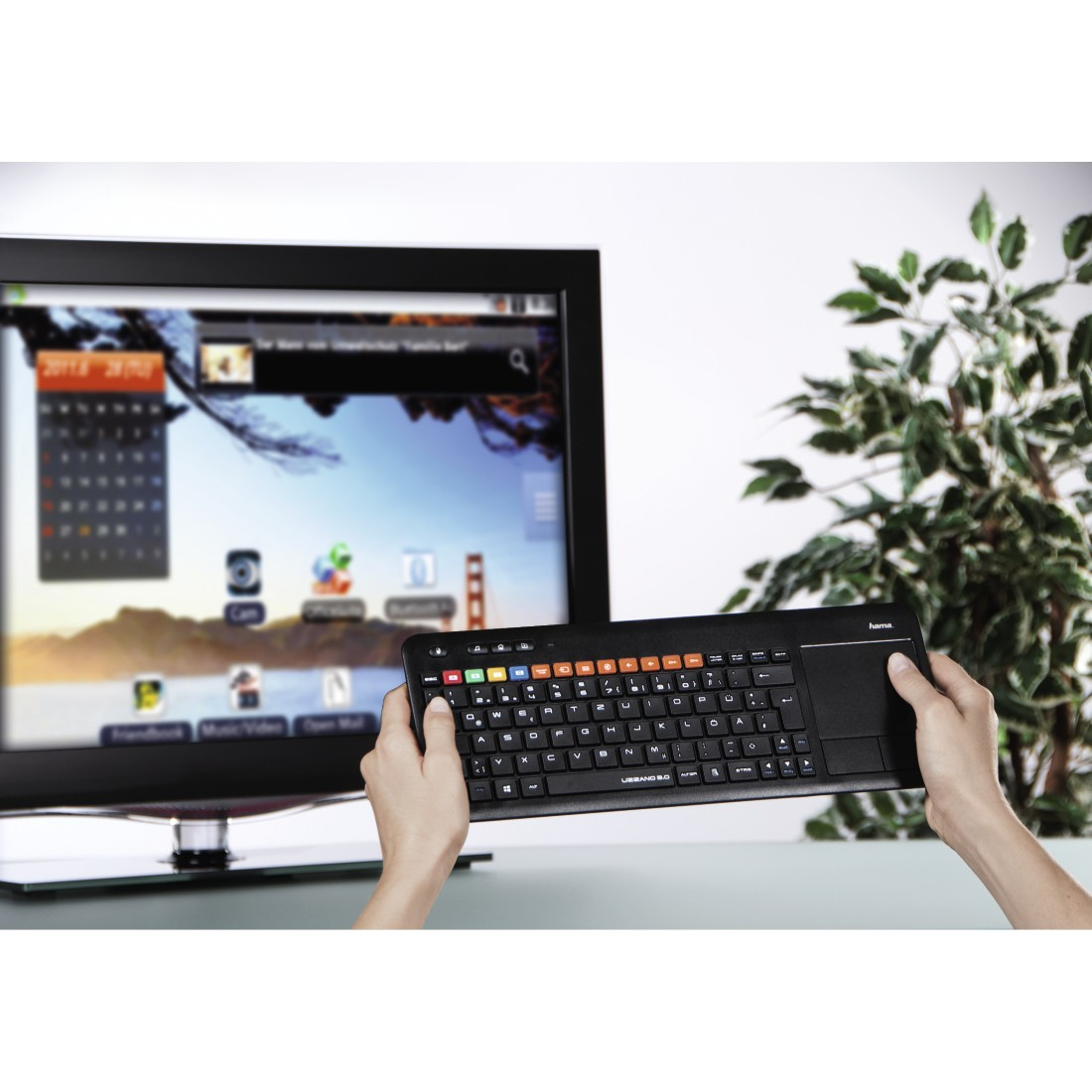 Hama Uzzano 3.0 – image 7
