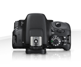 Canon 100D + EF-S IS STM 18-55mm + EF 50mm – image 4