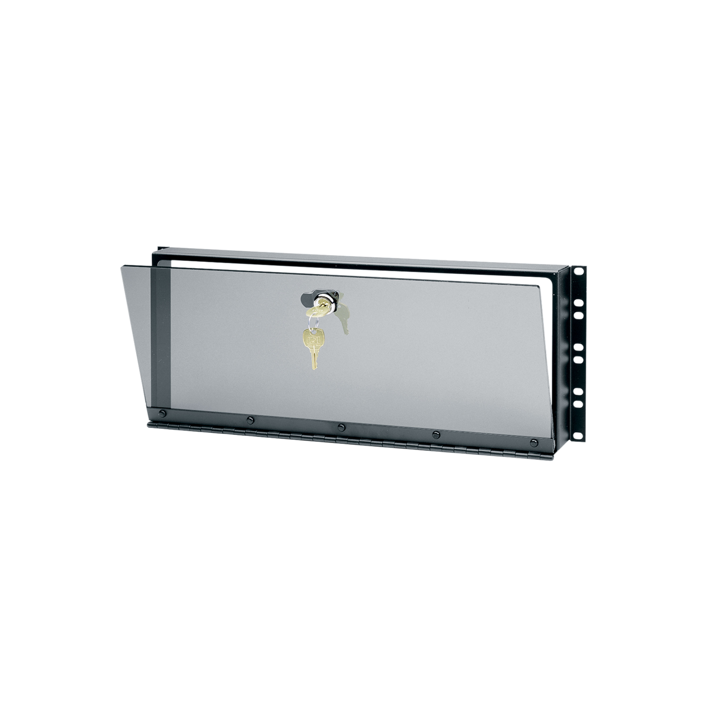 4SP HINGED PLEXI SECURITY