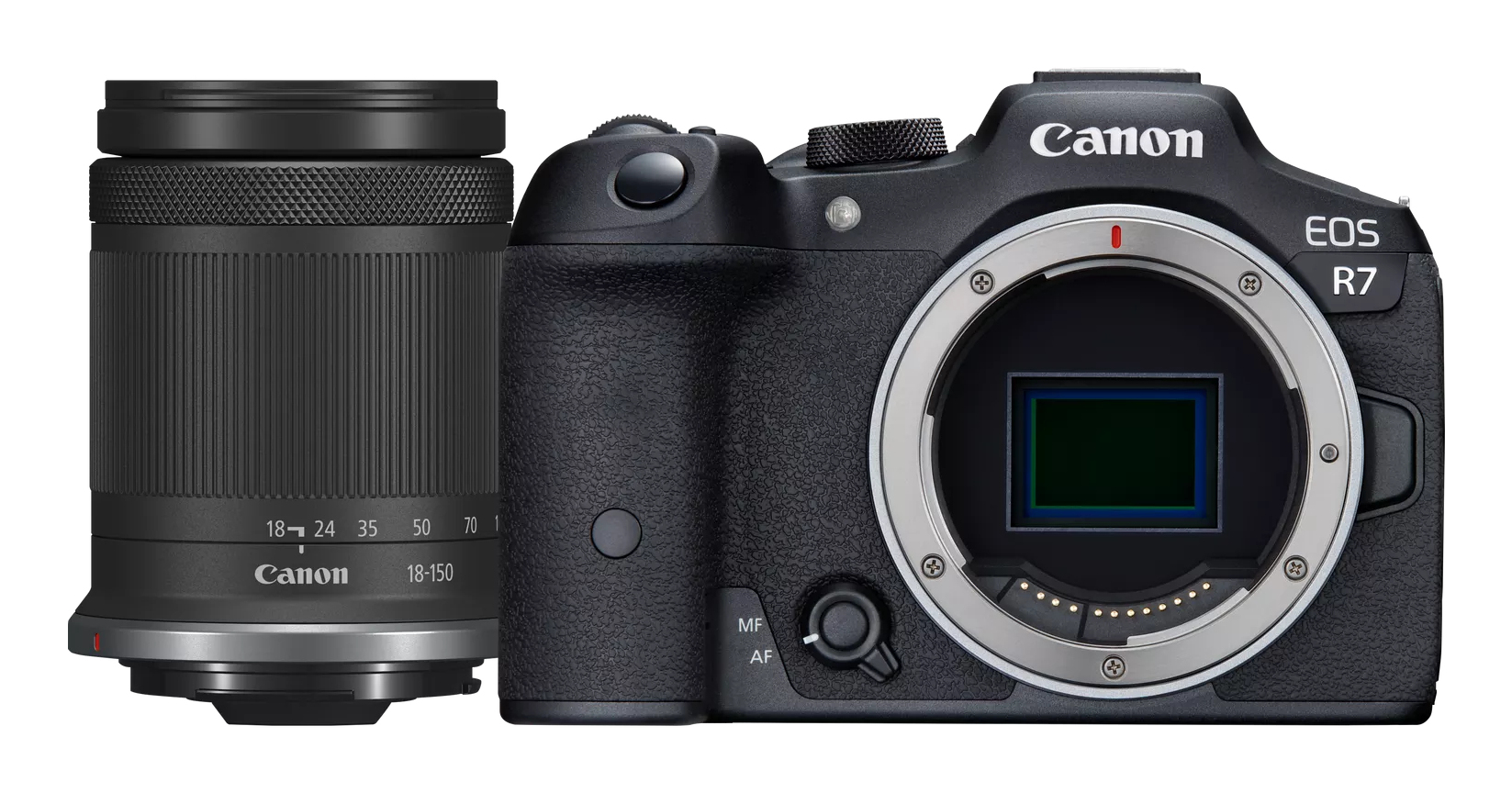 R7 + RF-S 18-150mm F3.5-6.3 IS STM