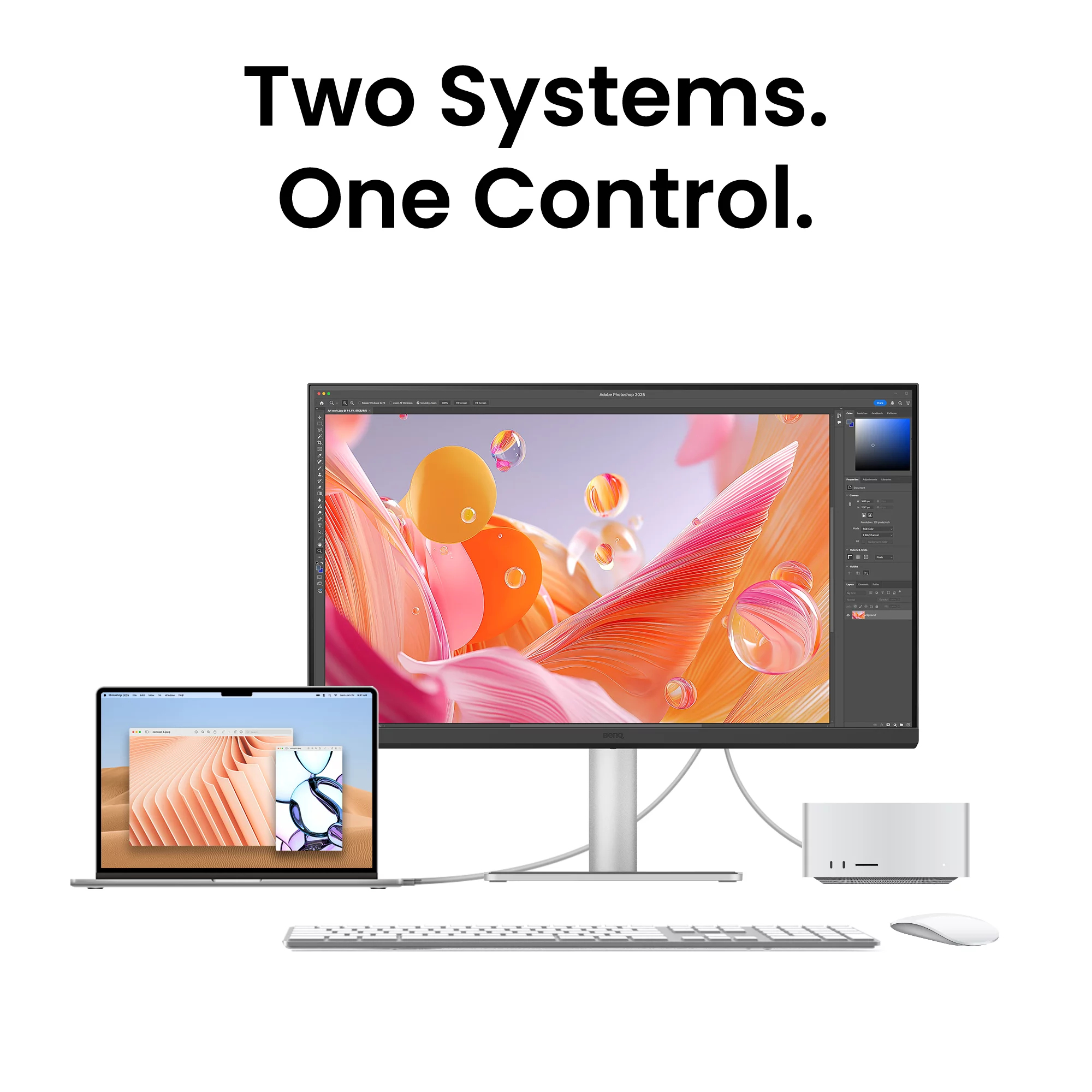 Product Gallery