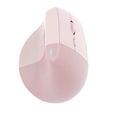IOPLEE 561BTR mouse Universal Right-hand RF Wireless 1600 DPI – image 2