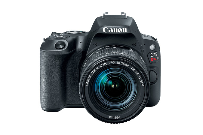 Canon Rebel SL2 + EF-S 18-55mm f/4-5.6 – image 4