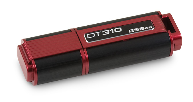 Kingston Technology 310 256GB – image 1