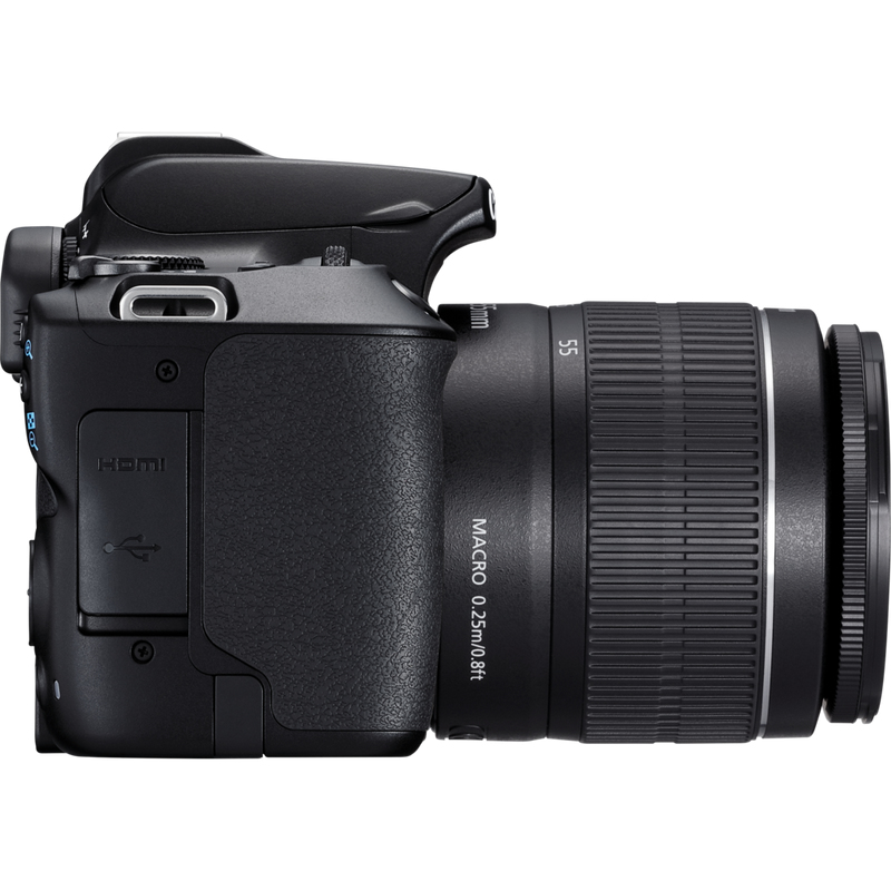 Canon 250D + EF-S 18-55mm f/3.5-5.6 III + EF 75-300mm f/4-5.6 III – image 9