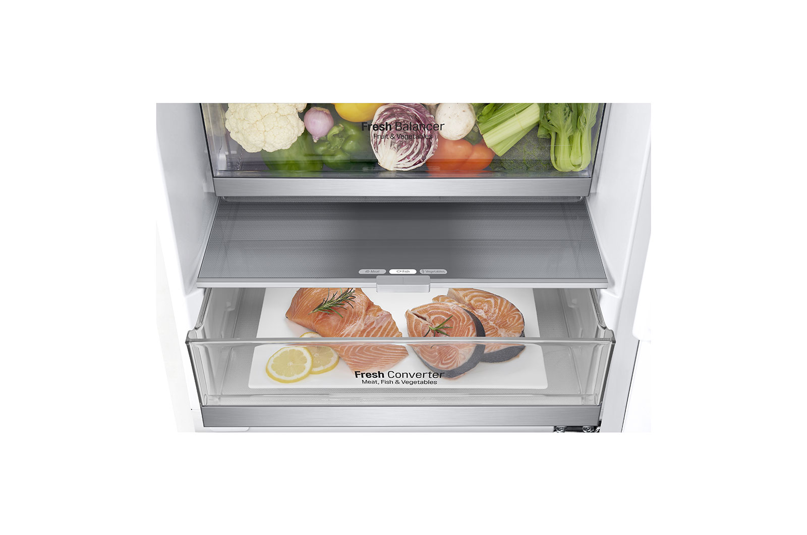 LG GBB72SWDZN fridge-freezer Freestanding – image 5