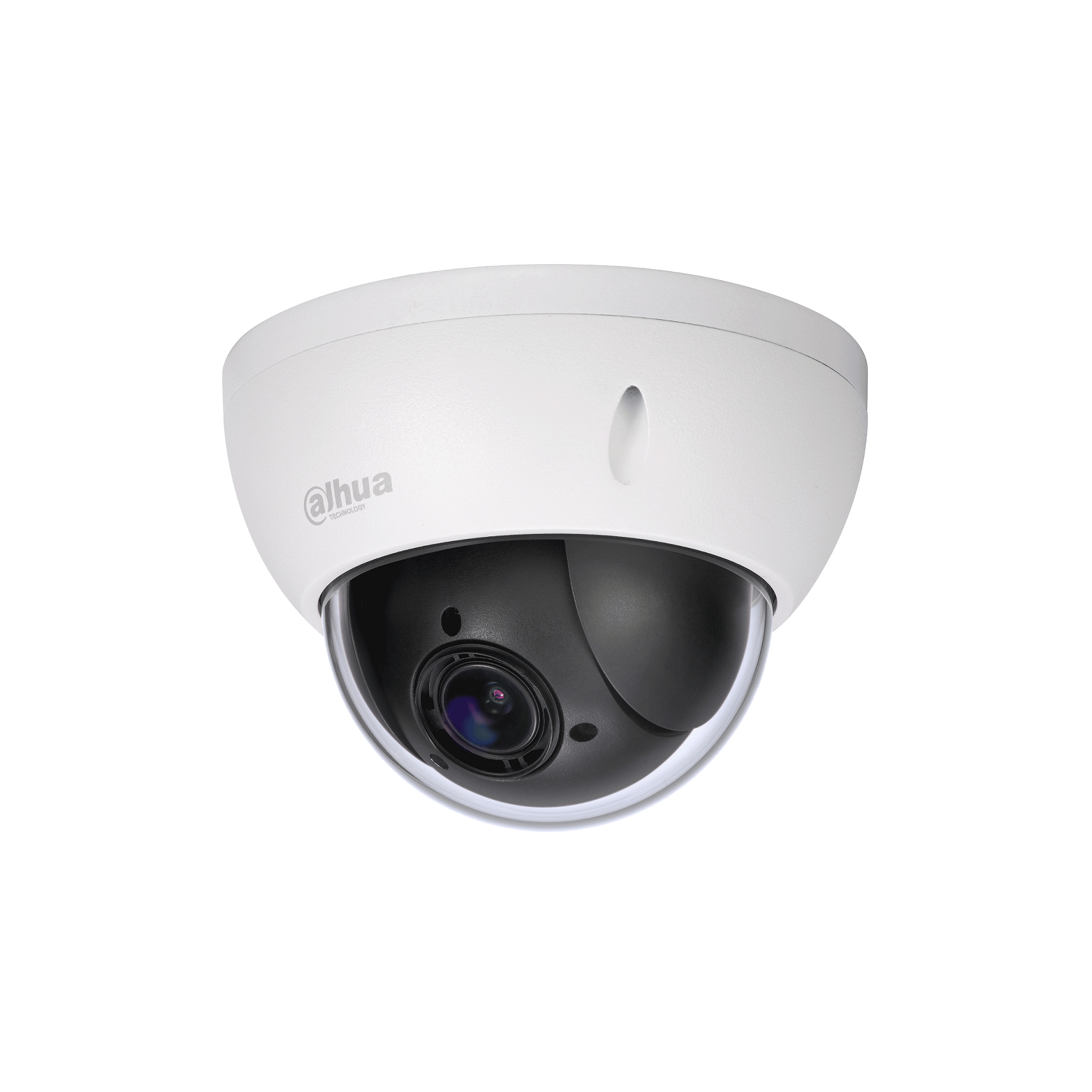 Dahua Technology Lite SD22204T-GN security camera Dome IP security camera Indoor & outdoor