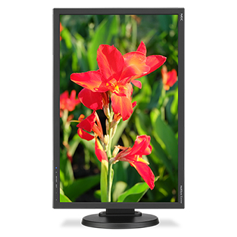 NEC MultiSync E245WMI-BK computer monitor – image 2