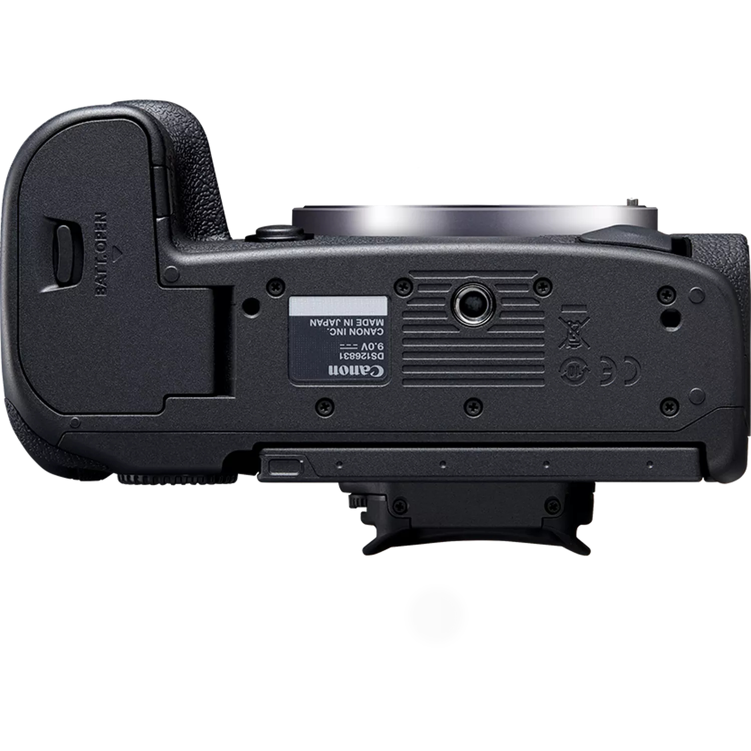 Canon EOS R5 + RF 24-105mm F4 L IS USM – image 8