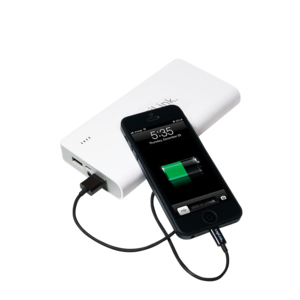 LogiLink PA0086B power bank Lithium – image 3