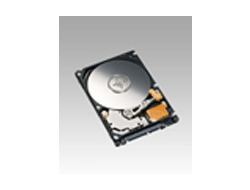 Fujitsu MHZ2200BJ 200 GB