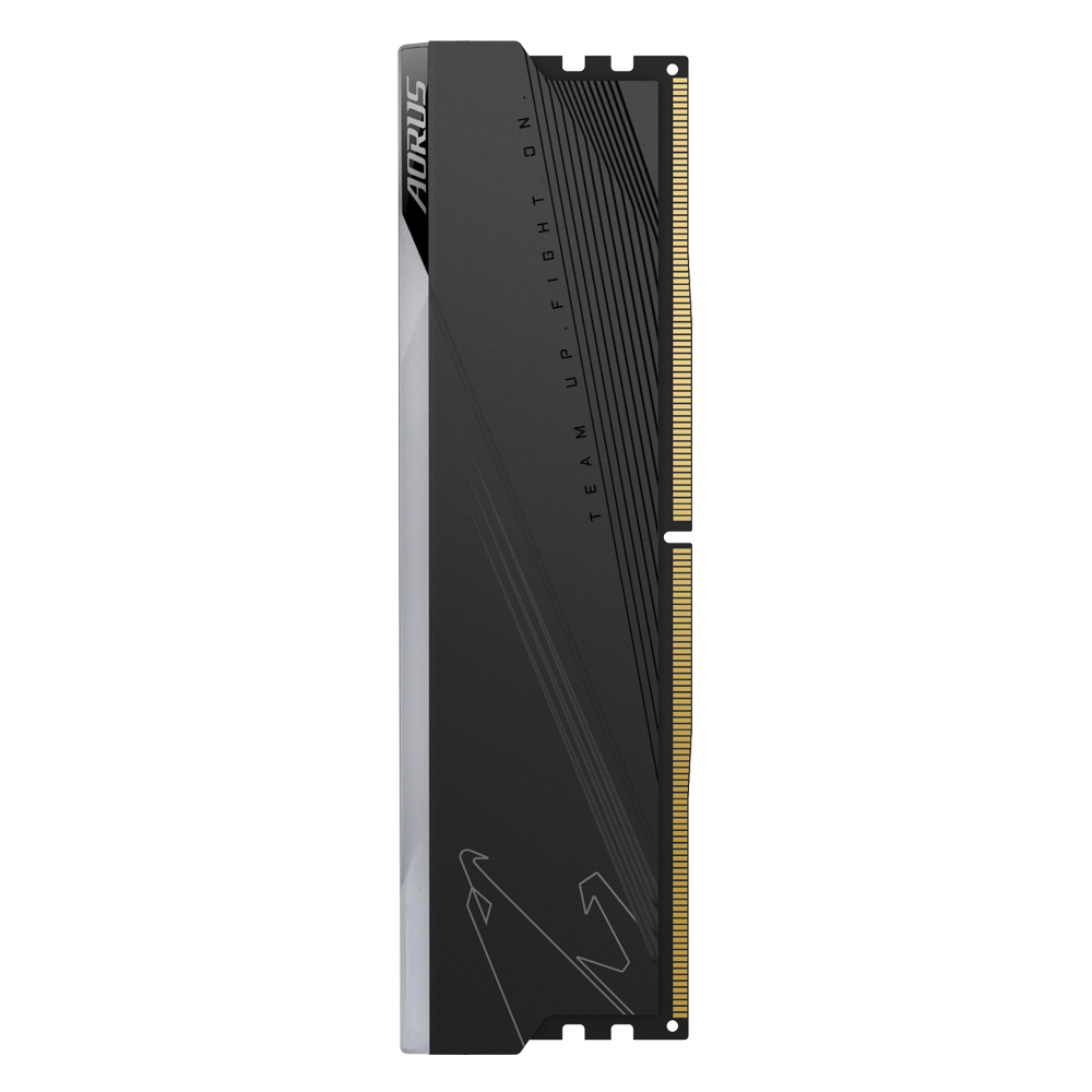 GIGABYTE ARS32G60D5R memory module – image 3