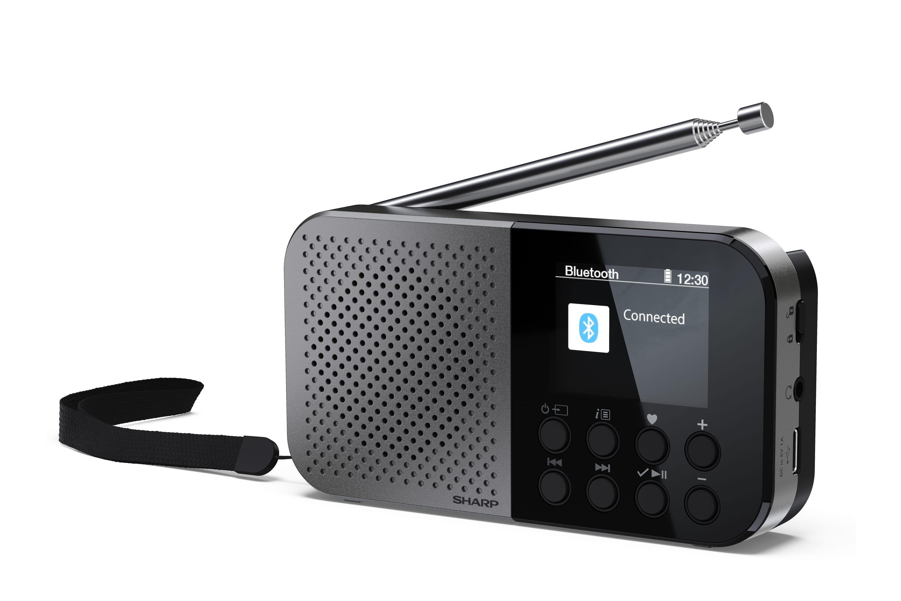 Sharp DR-P520 Personale Digitale Grigio