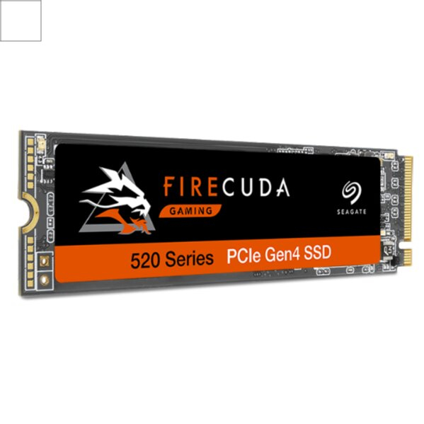Seagate FireCuda ZP500GM30002 internal solid state drive