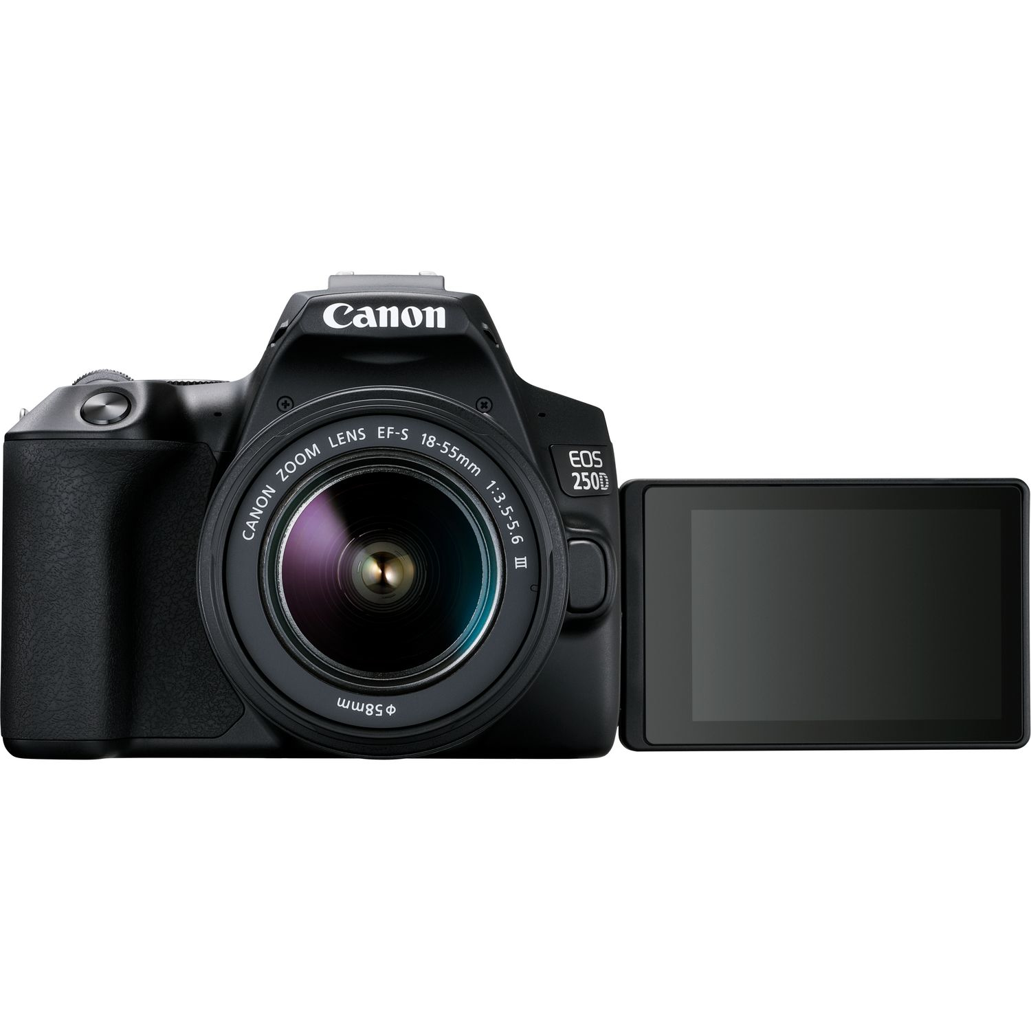 Canon 250D + EF-S 18-55mm f/3.5-5.6 III + SB130 – image 4