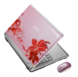 ASUS F6V-3P244C, Pink