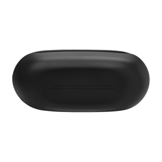 JBL Race 2 – image 8