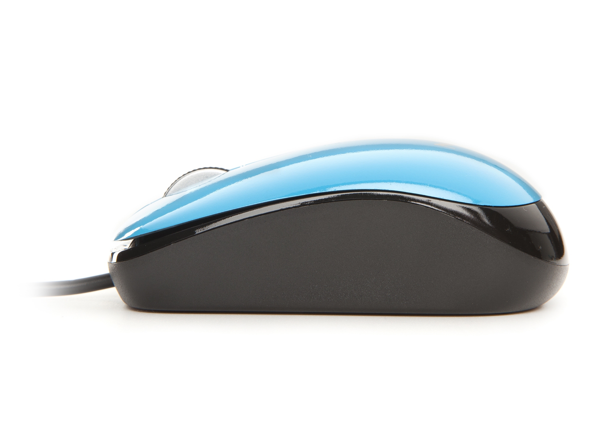NGS Blue Flavour – image 4