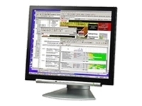 Sharp 19" LCD monitor