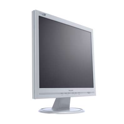 Philips 17" LCD Monitor 170S5FG