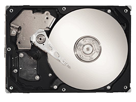 Seagate SV35 Series ST3500410SV internal hard drive