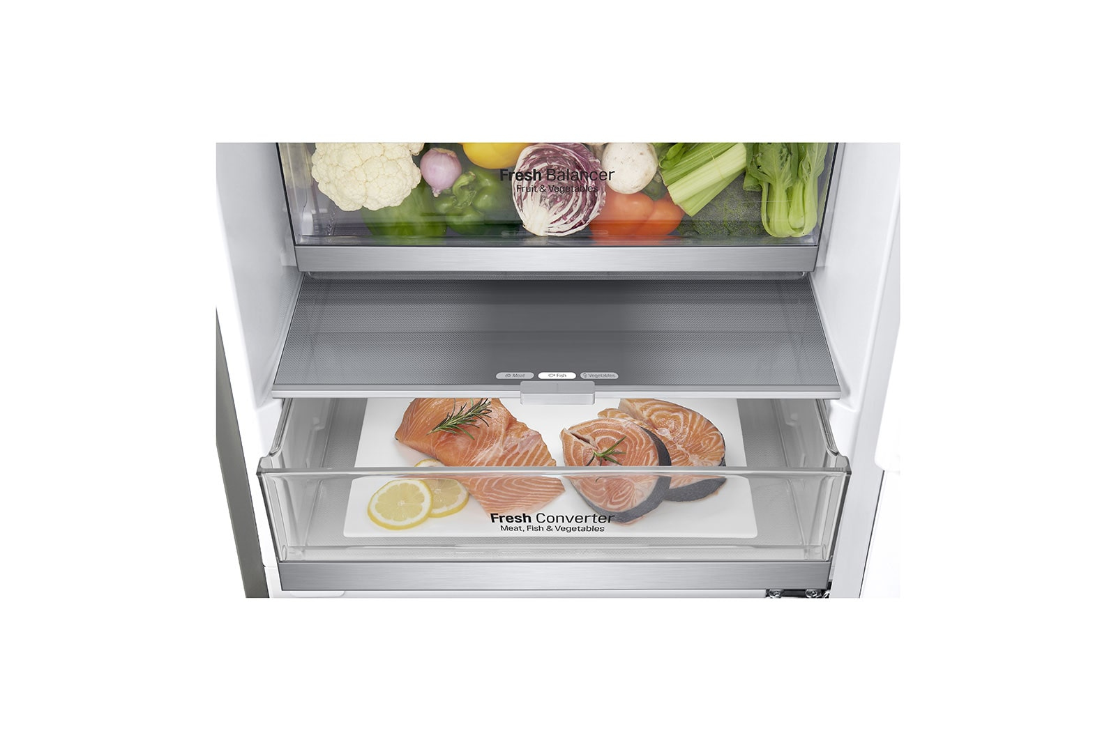 LG GBB72STCXN fridge-freezer Freestanding – image 5