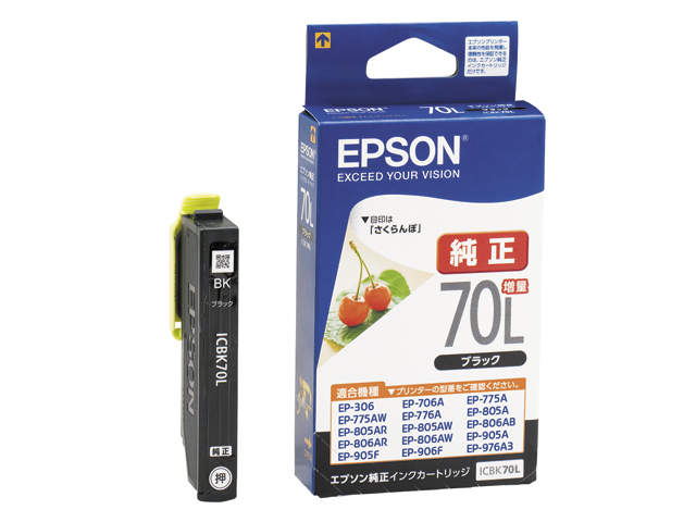 Epson ICBK70L ink cartridge Original Black