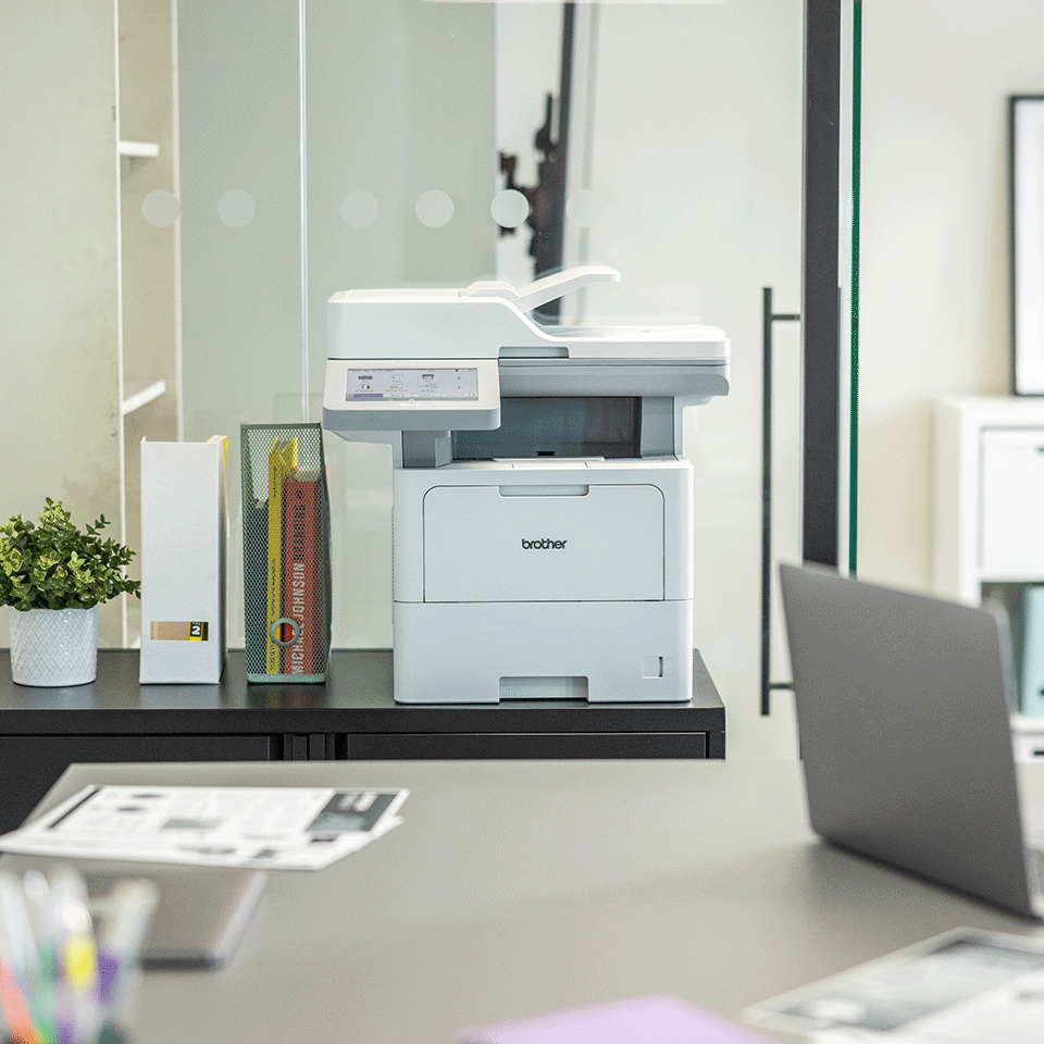 Product Gallery
