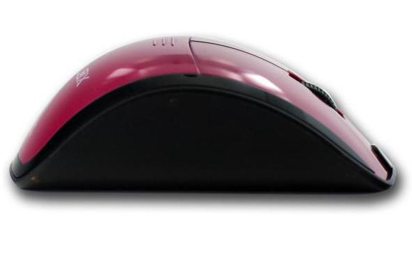 Nilox 10NXMP1500003 mouse RF Wireless Optical 1600 DPI – image 2
