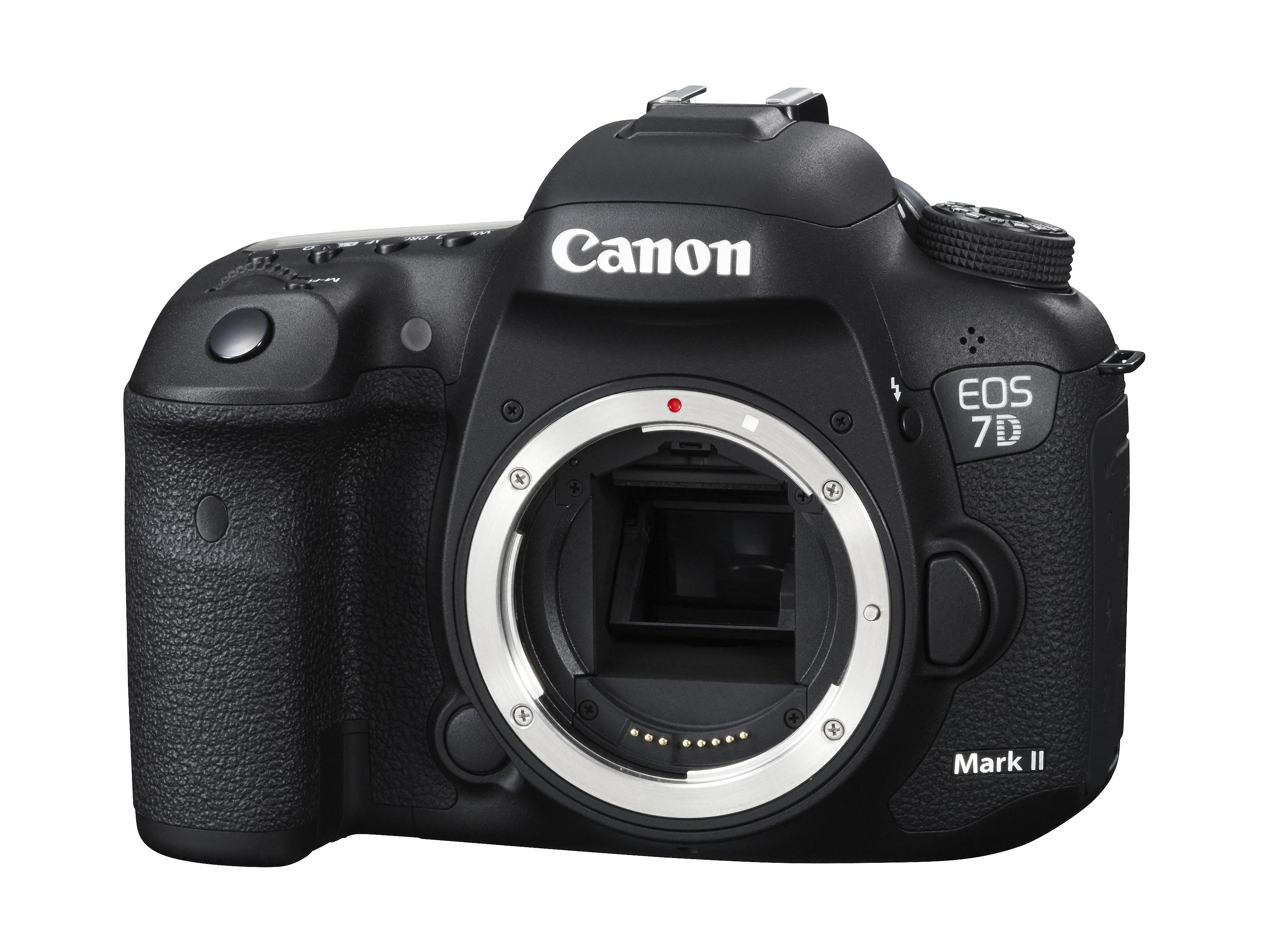 Canon EOS 7D Mark II + W-E1 – image 2