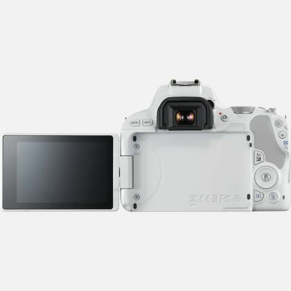 Canon EOS 200D + 18-55 IS STM – image 7