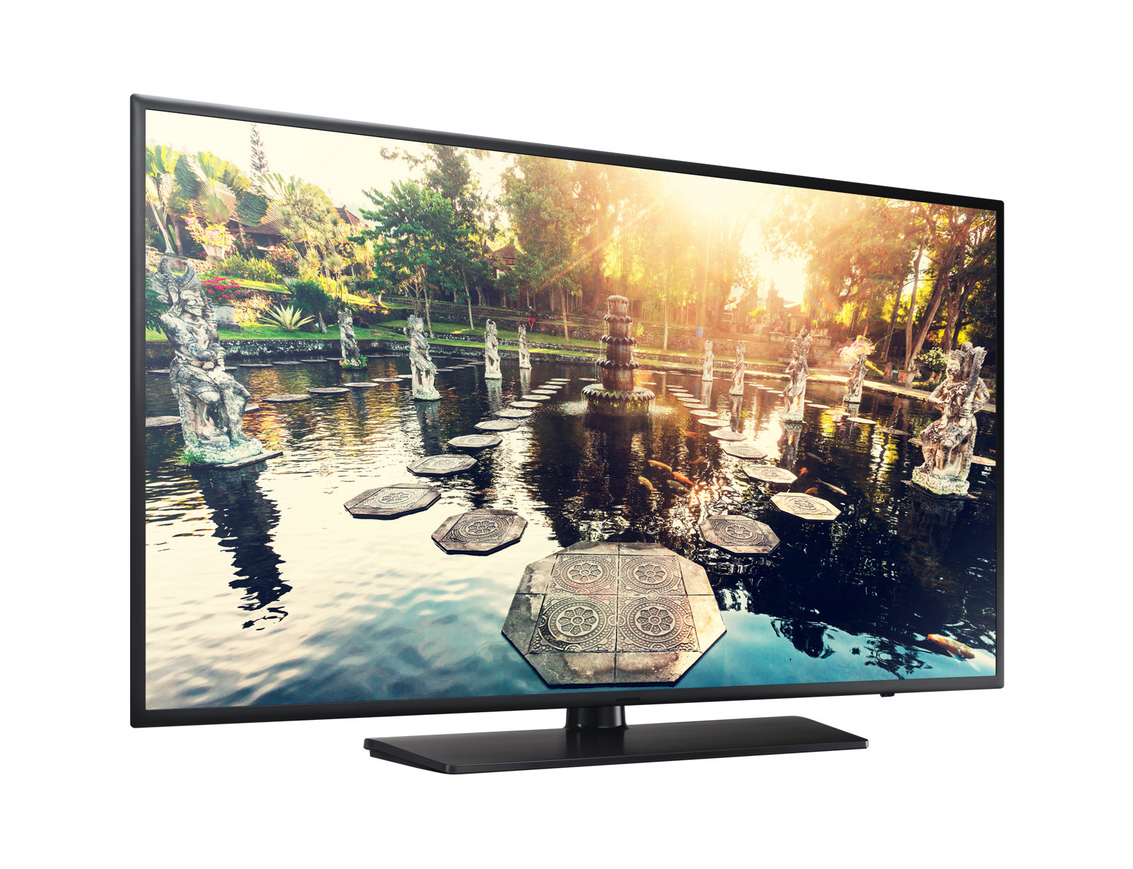 Samsung HG55EE690DB hospitality TV – image 3