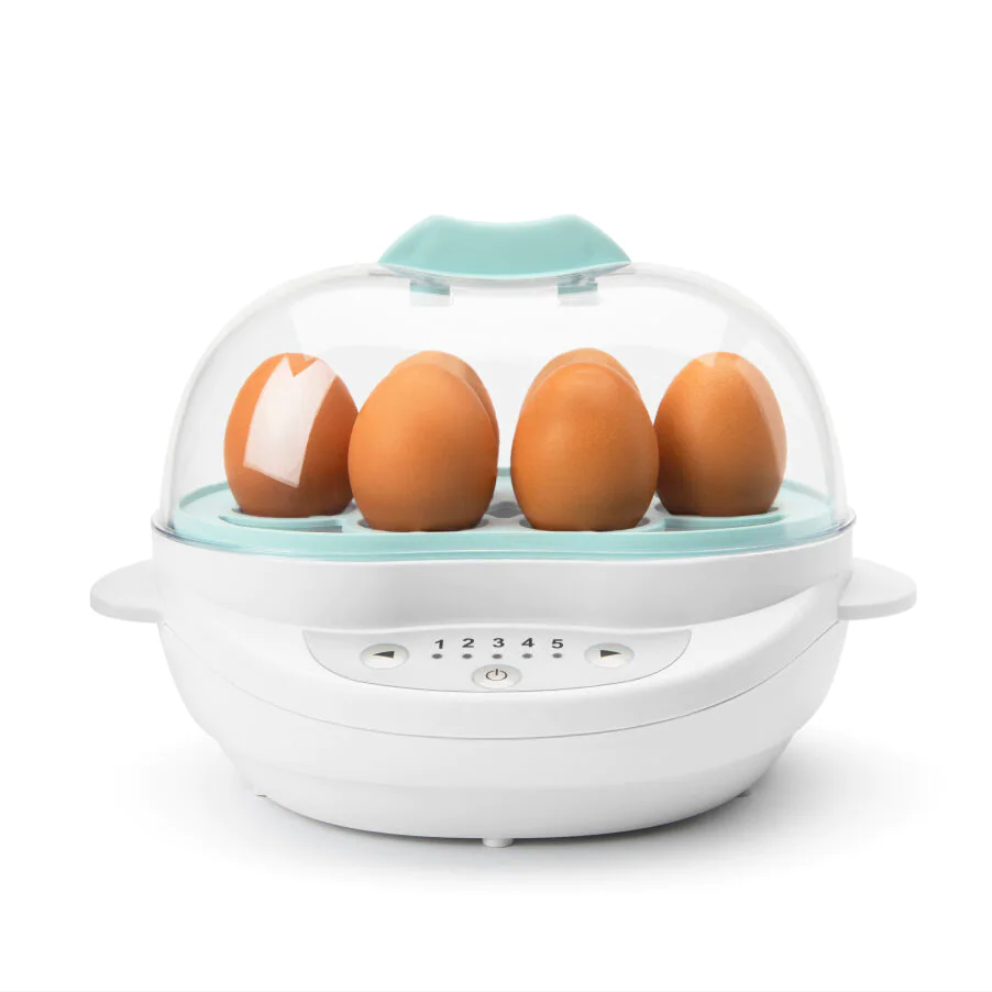 BSR08N steam cooker Freestanding