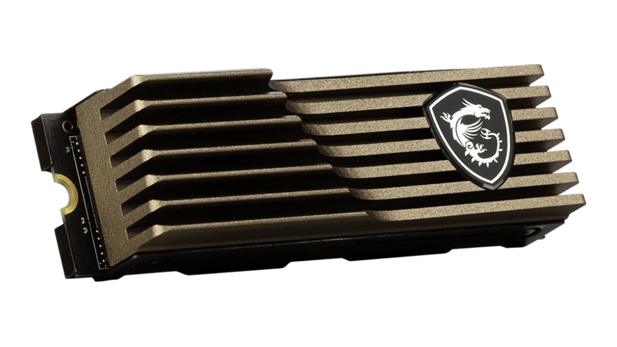 MSI SPATIUM M460 PCIe 4.0 NVMe M.2 1TB HS