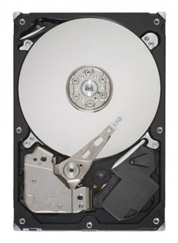 Seagate Barracuda 7200.12 750GB