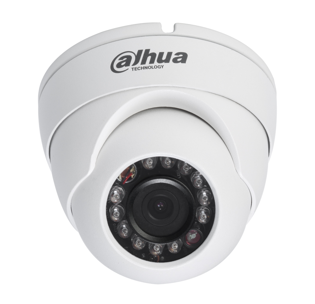 Dahua Technology HDW2220M security camera Dome IP security camera Indoor & outdoor