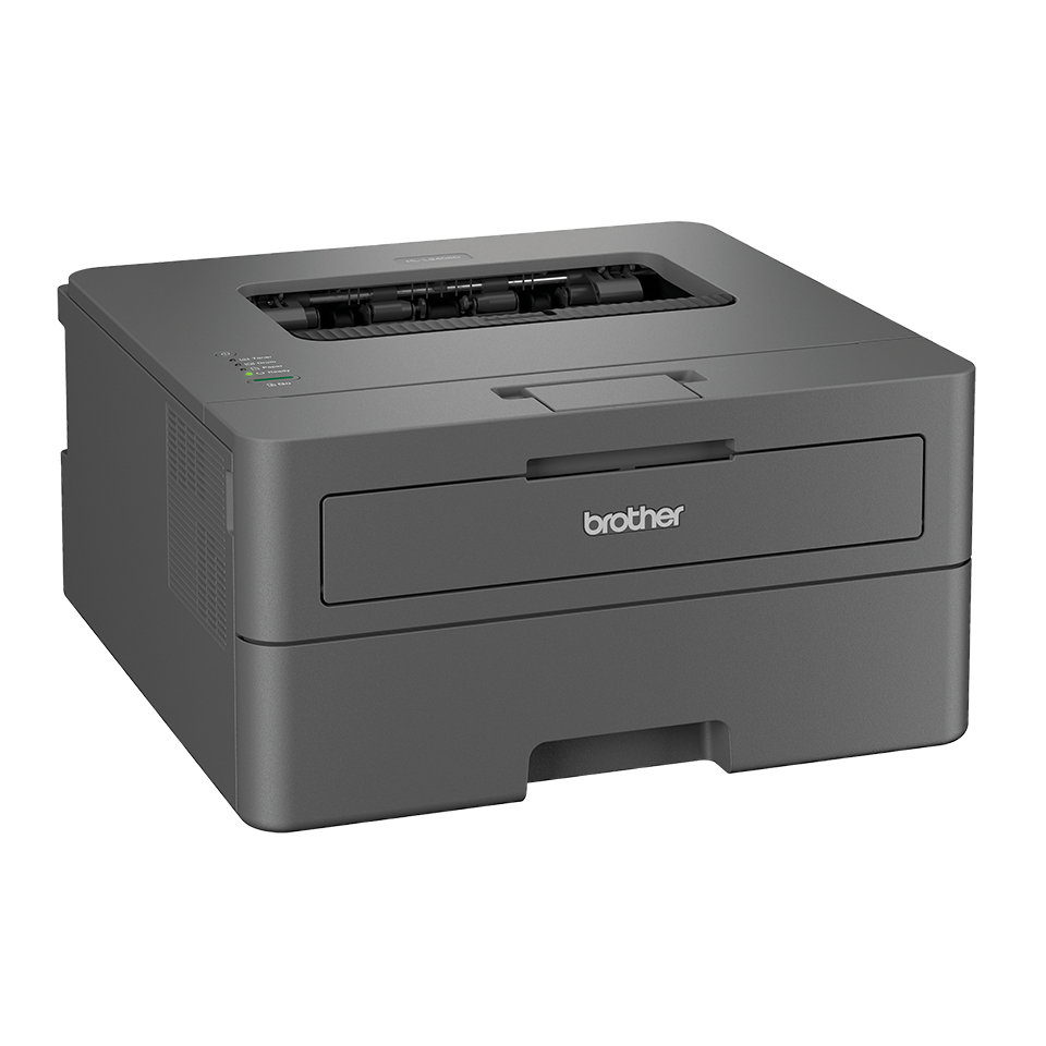Brother HL-L2402D laser printer – image 2