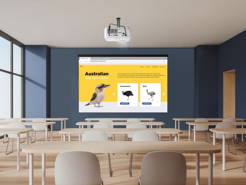 Product Gallery