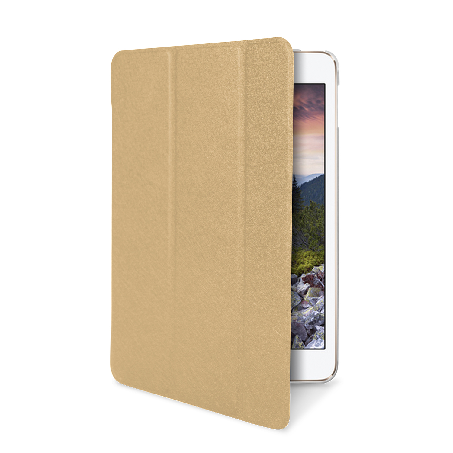 Area CSTA7014FTGD tablet case