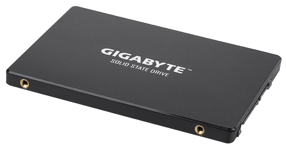 GIGABYTE GP-GSTFS31256GTND internal solid state drive – image 4