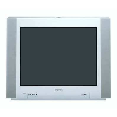 Philips 29" 100Hz Dolby Virtual Real Flat TV