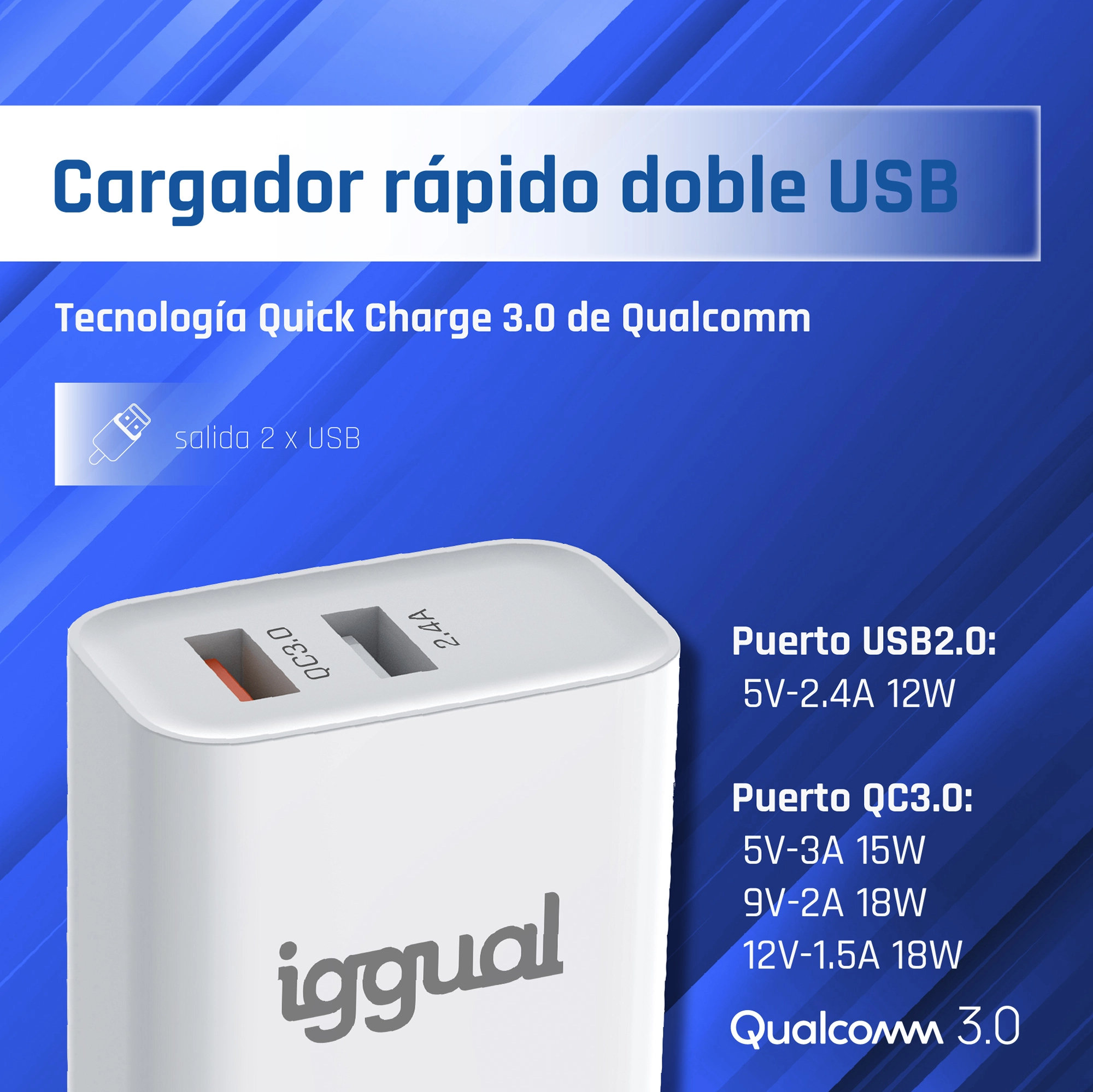iggual IGG317389 mobile device charger Universal White AC Fast charging Indoor – image 2