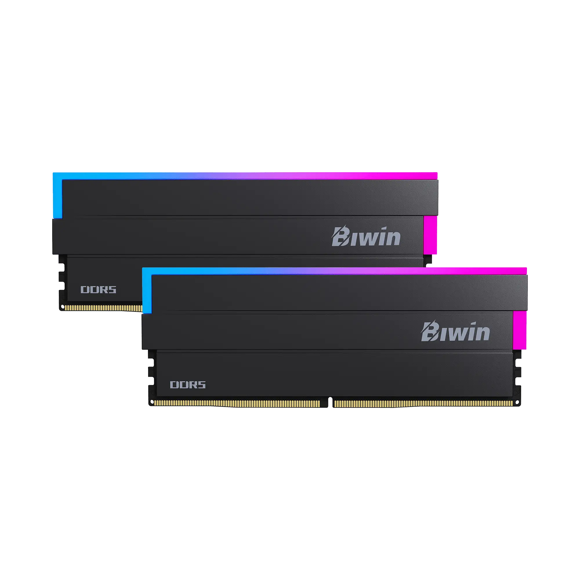 Biwin BXL54860DW1-D28FB memory module – image 3