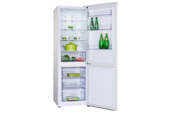 TCL RB315WM1110 fridge-freezer Freestanding – image 4