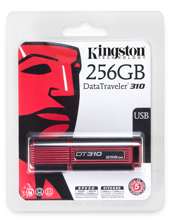 Kingston Technology 310 256GB – image 8