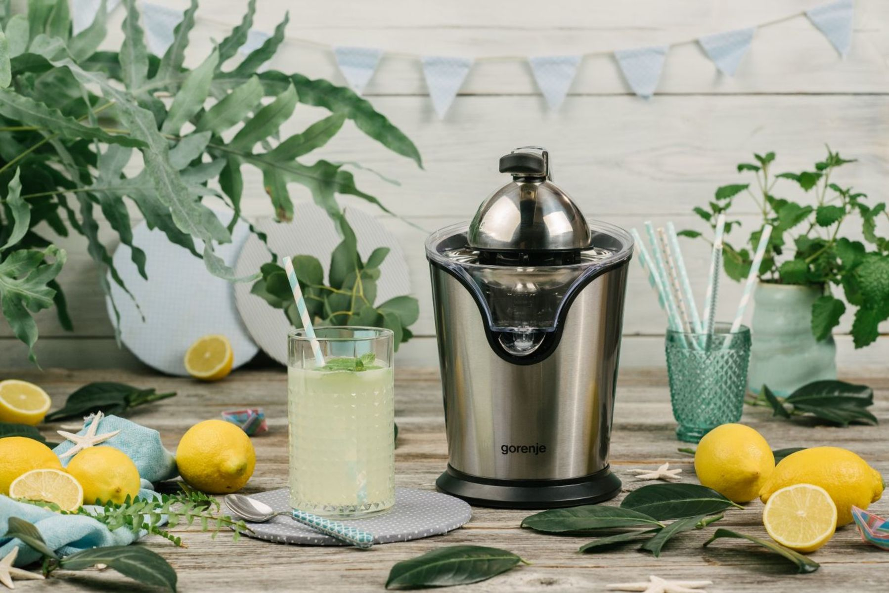 Gorenje CJ100HE electric citrus press – image 4