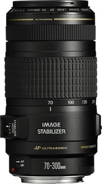 Canon 450D + EF-S 17-85mm + EF 70-300mm – image 3
